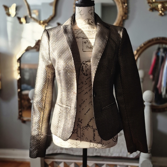 Gold Max Studio Metallic Blazer XS - Picture 6 of 7